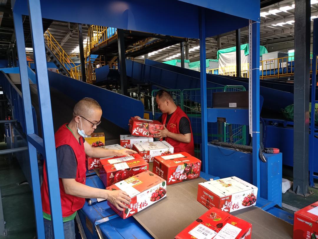 榆林邮政寄递一党支部开展“党员齐上阵，助力樱桃快速送达”主题党日活动   