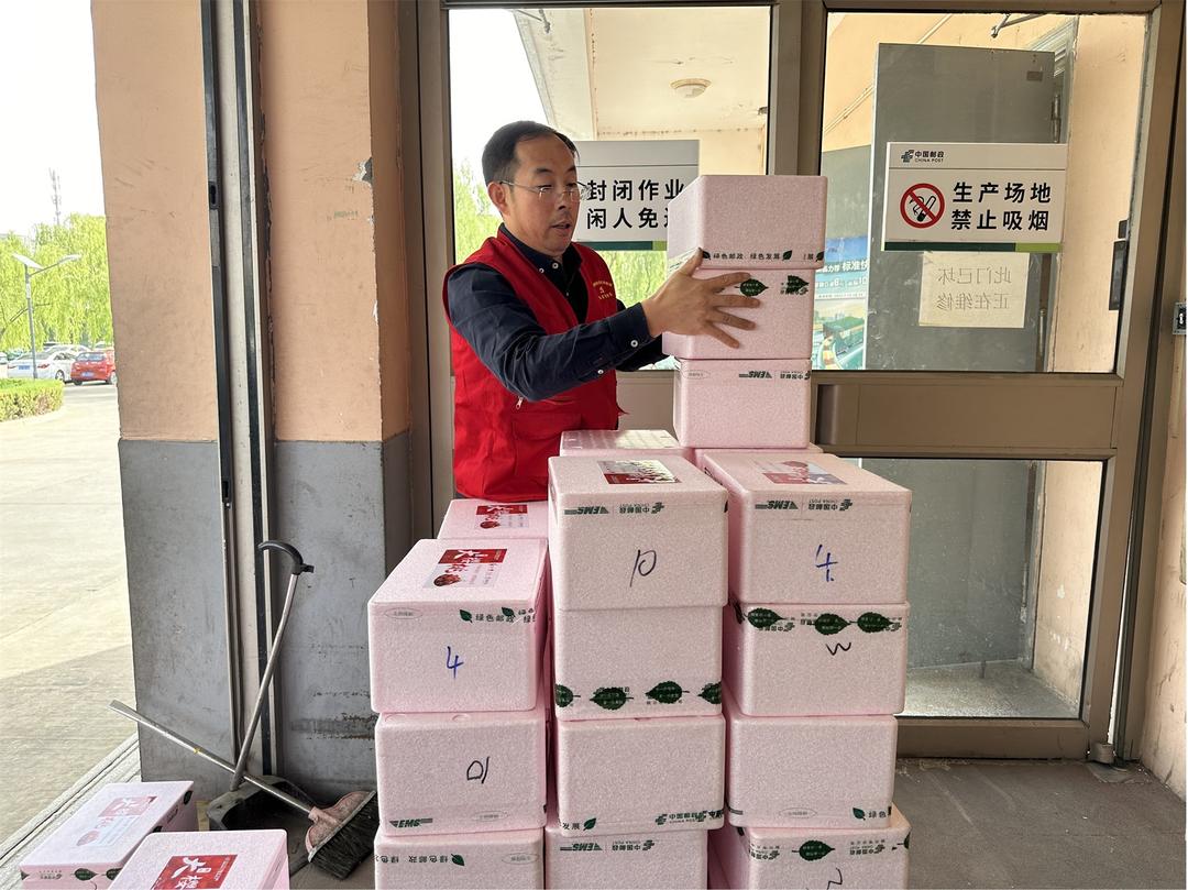 榆林邮政寄递一党支部开展“党员齐上阵，助力樱桃快速送达”主题党日活动   
