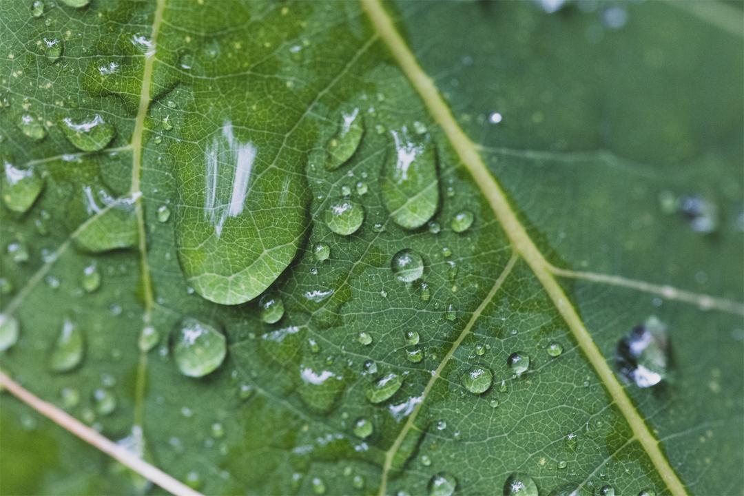 赖廷阶：引人深思 读刘合军组诗《水淹没水》