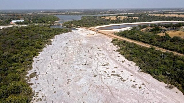 El mercado de carbono es uno muy interesante, porque se puede trabajar de manera bilateral. Foto: Archivo