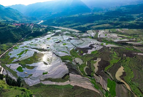 南非_南非最新消息,新闻,图片,视频_华人头条