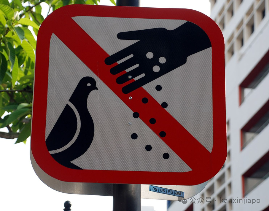 新加坡又被游客吐槽了！厕所、公园、商场到处都是nonono_新加坡_新闻_华人头条