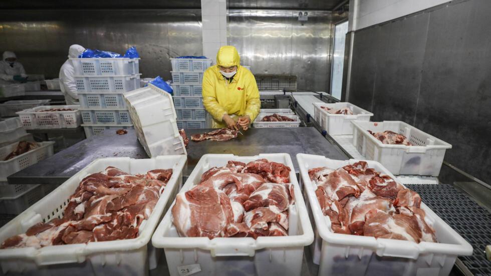 China investiga las importaciones de carne de cerdo europeas - Economía