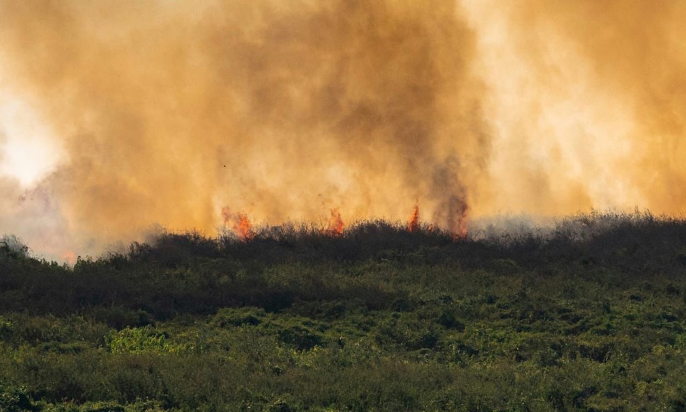 Fogo se espalha pelo Pantanal. Foto de junho de 2024. — Foto: Guilherme Giovanni /Arquivo Pessoal