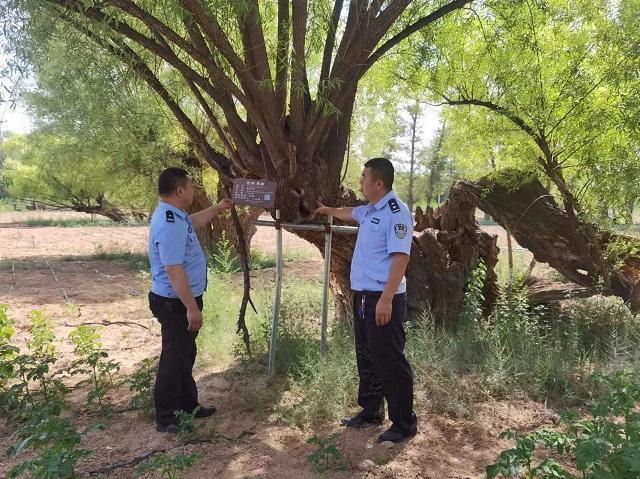 “警察蓝”守护“生态绿”——靖边公安沙石峁森林派出所开展警长巡护工作 “警察蓝”守护“生态绿”——靖边公安沙石峁森林派出所开展警长巡护工作
