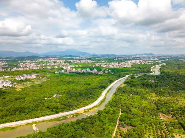 分界镇是高州市乃至茂名市全域推进乡村振兴的&ldquo;优质选手&rdquo;。