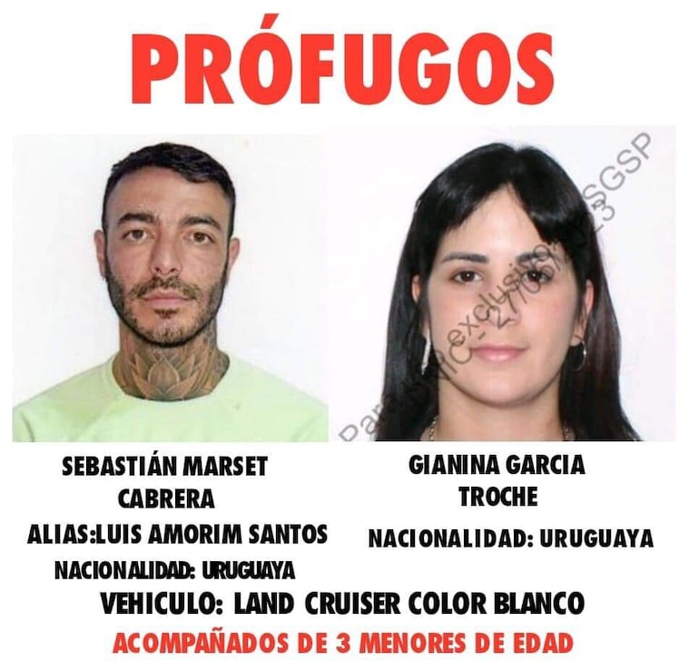 Video: detienen a esposa de Marset y jueza adelanta confirmación de pedido de extradición - Policiales - ABC Color