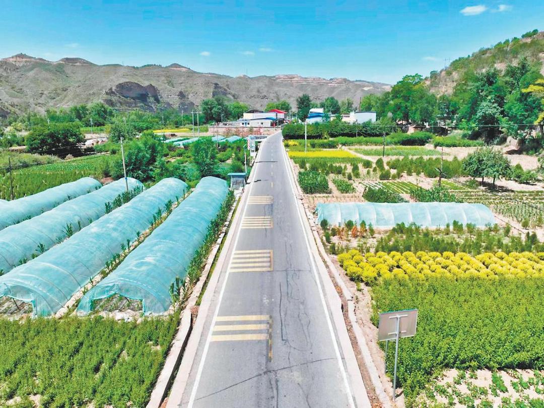 绥德把“四好农村路”打造成服务群众的幸福路、振兴路