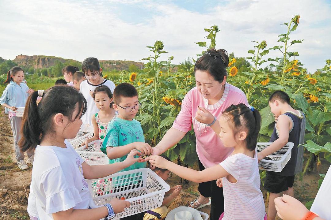 榆阳区古塔镇赵庄村着力打造“鱼儿湾”研学基地：让“田园”经济赋能乡村振兴