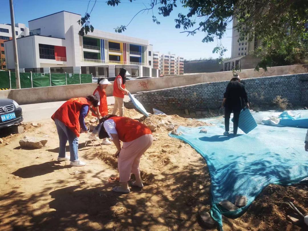 53名志愿者4个小时无死角环境卫生清理，社区干净了！