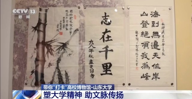 文化中國行丨七千多年前的種子是啥樣？去山東大學博物館一探究竟→