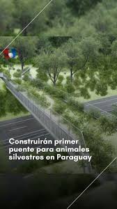 🌉 Se construirá un paso de fauna elevado para proteger a los animales silvestres en el Corredor Metropolitano del Este. , Dale play ▶️ para enterarte de más. , #Unicanal