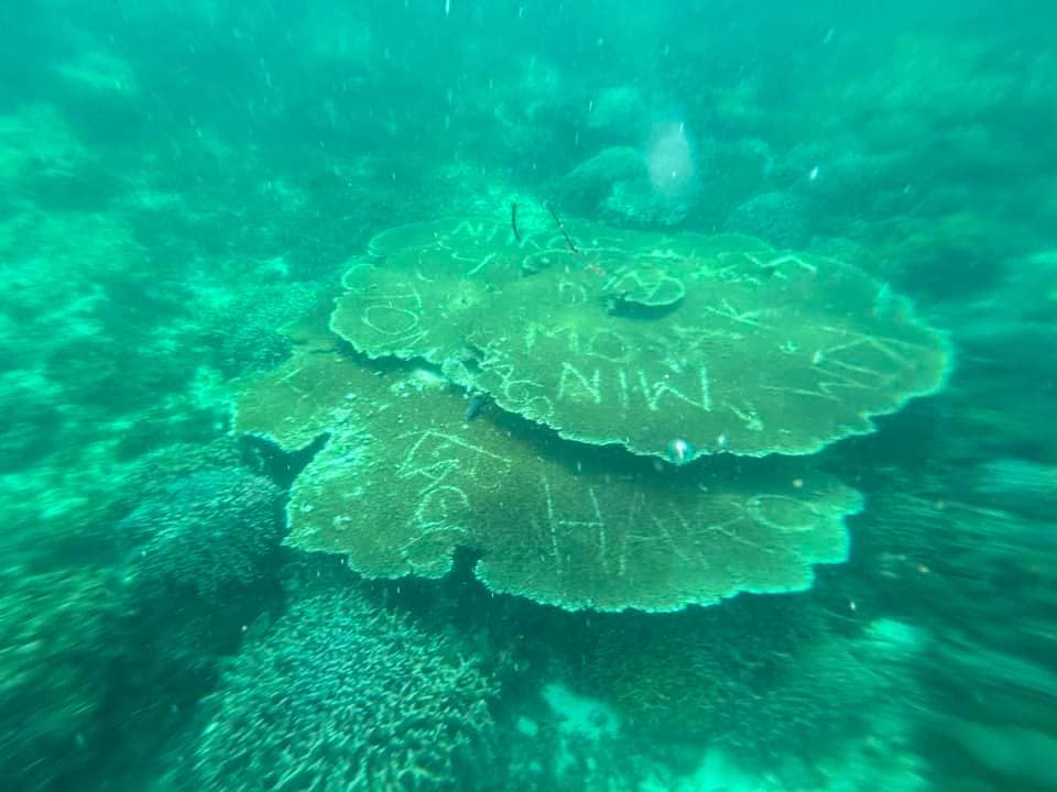 Aumentado orders probe on vandalism of Virgin Island corals