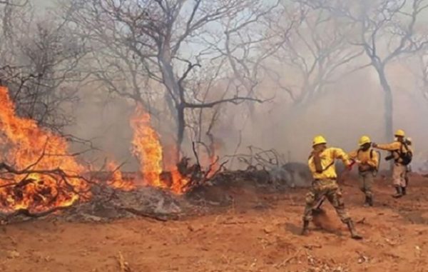 Infona denuncia incendios en Chaco ante la Fiscalía tras identificar fincas