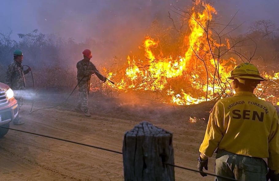 Fuego arrasó casi 90.000 ha y está en peligro el Chovoreca - Nacionales -  ABC Color