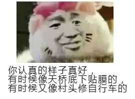 給你講個笑話，我可是美國留學生