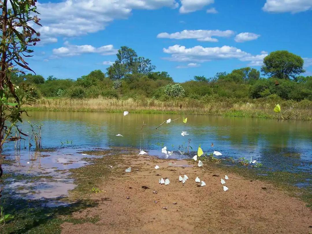 Parque Nacional Médanos del Chaco