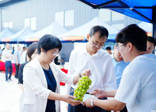 简篇-“学用‘千万工程’礼赞丰收中国”扶风县举办2024年庆祝“中国农民丰收节”活动