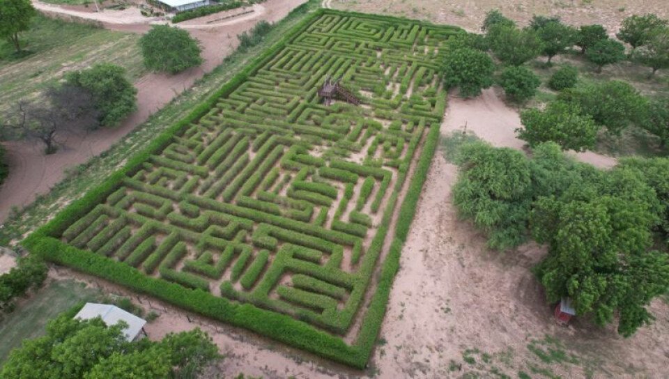 Jugando con la naturaleza: El laberinto vegetal de Filadelfia es una  aventura de tan solo G. 10.000