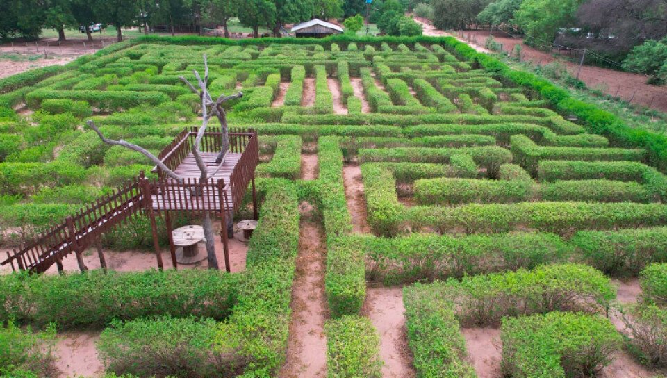 Jugando con la naturaleza: El laberinto vegetal de Filadelfia es una  aventura de tan solo G. 10.000