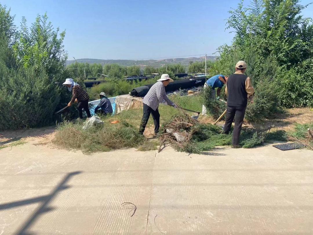 榆阳区鱼河镇持续开展环境卫生整治，扮靓镇村美丽底色