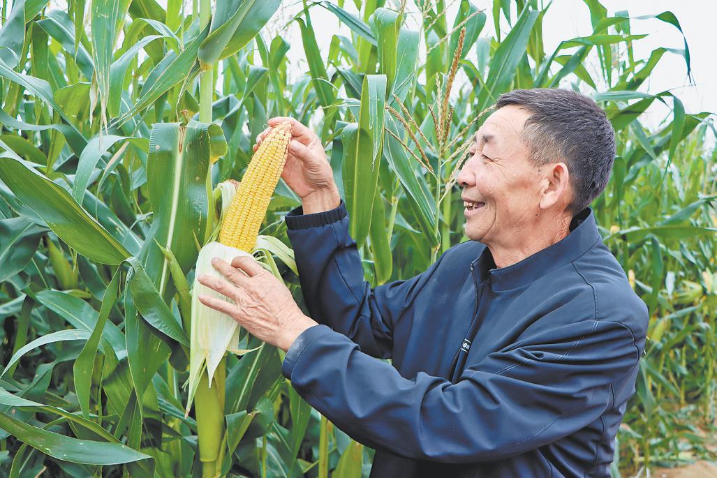 定边县：粮田变良田 良技护“粮计”