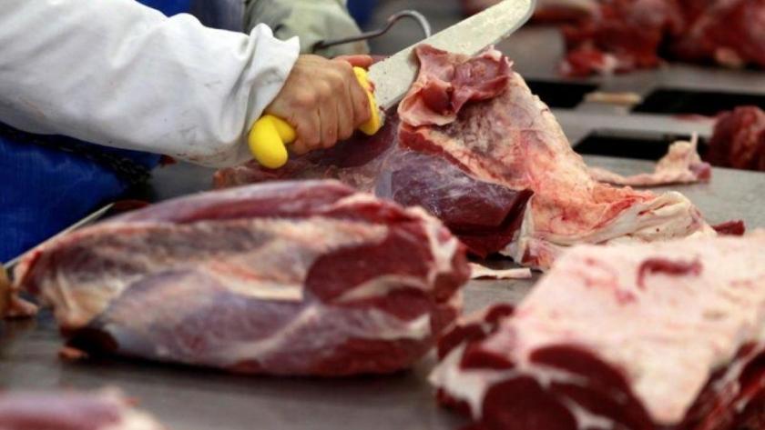 La producción de carne sigue mejorando en Paraguay y Mexico podria ser el proximo destino | Agroempresario.com