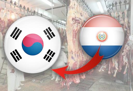 Corea del Sur debuta como país importador de carne bovina paraguaya |  CONtexto Ganadero