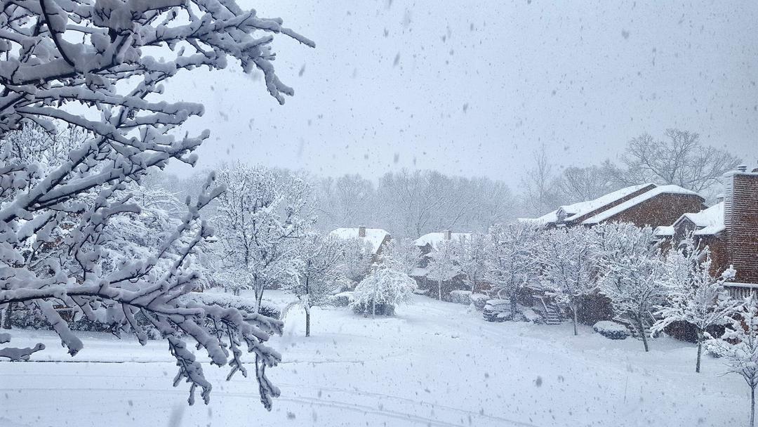 雪，雪，天气，天气，冬天，雪