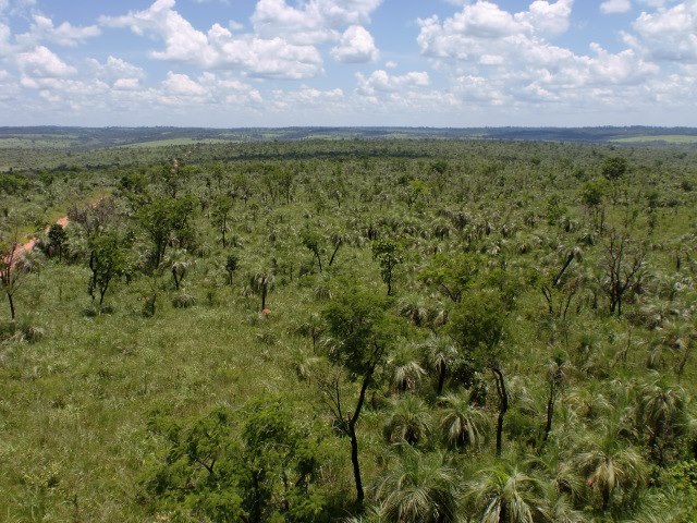 Parques Nacionales del Paraguay: Desarrollando sosteniblemente el Paraguay con reservas de biosfera