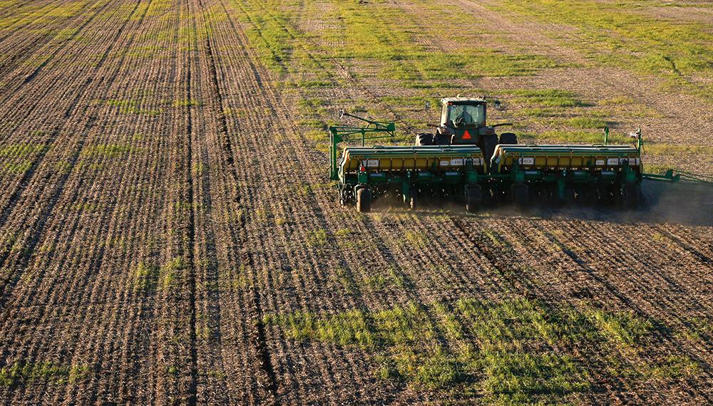 Identifican posibles impactos en lo social del avance de la soja sobre la estructura productiva de Chaco | Medios Unne