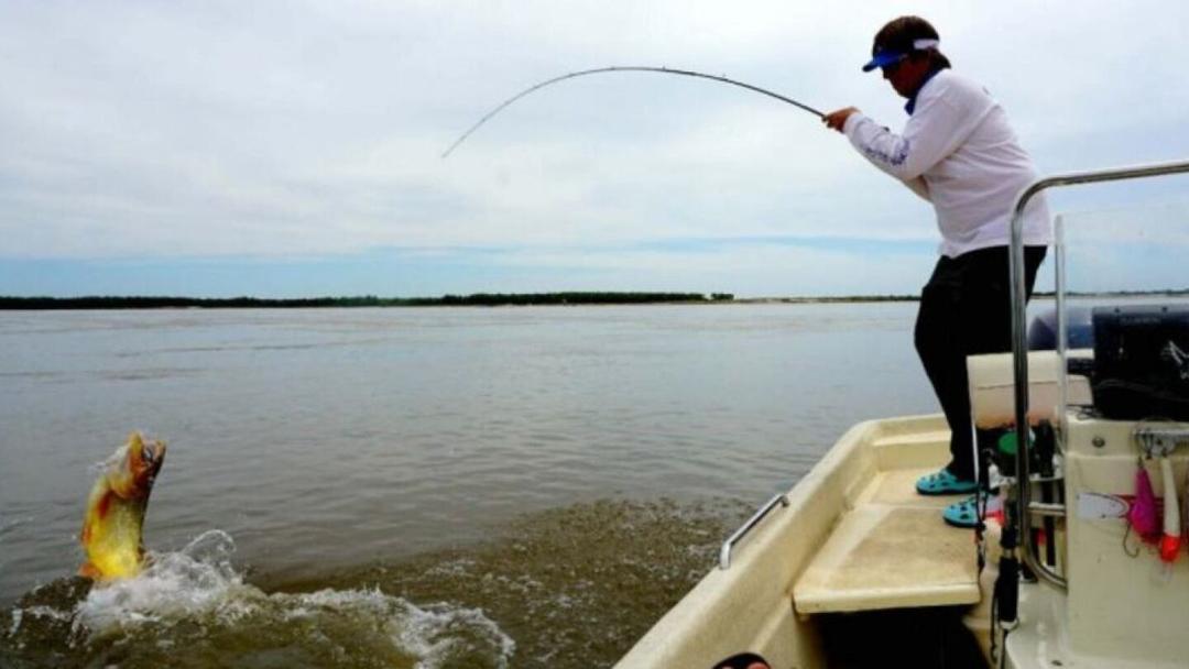 Cómo sanciona el MADES a pescadores ilegales durante bajante histórica de  los ríos Paraguay y Paraná? - Paraguay.com - Noticias de Paraguay en tiempo  real. Paraguay en Internet.