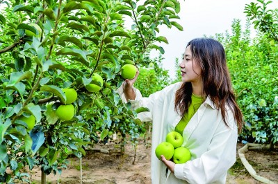 山东青岛：秋色斑斓西海岸