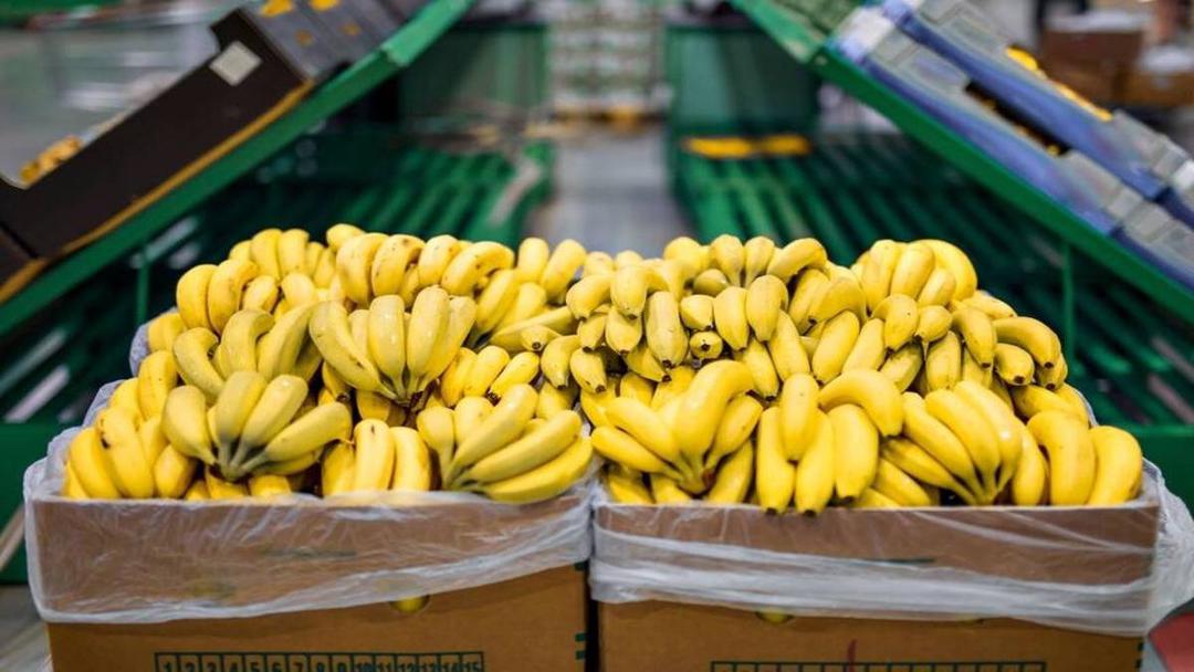 Productores de banana de Bolivia y Paraguay suspenden la exportación a  Argentina | Vove Tucumán Noticias