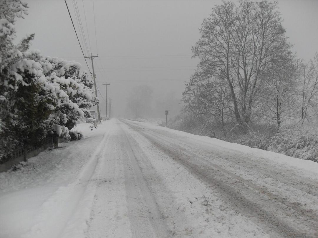 罗马尼亚大雪和暴风雪。各个县的红色、黄色和橙色代码