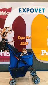 ExpoVet 2024 🧡🐾 @expovetpy, Una excelente experiencia y descubriendo  nuevos producto interesantes 🙌🏻, #napilloelpillo #expovet2024 #expovet  #paraguay