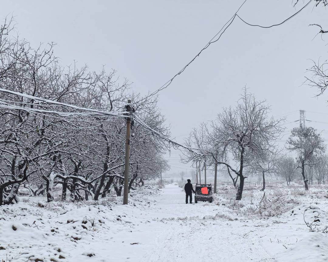 穿过故乡的雪野