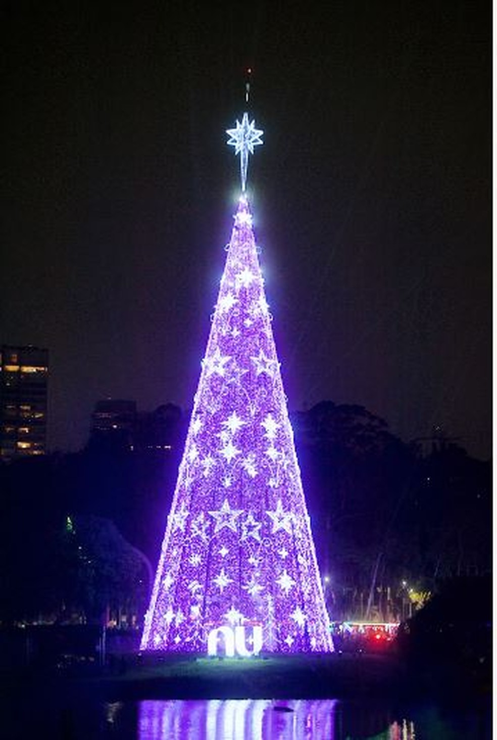 Árvore de Natal do Parque Ibirapuera tem 57 metros de altura — Foto: Divulgação/Prefeitura de São Paulo