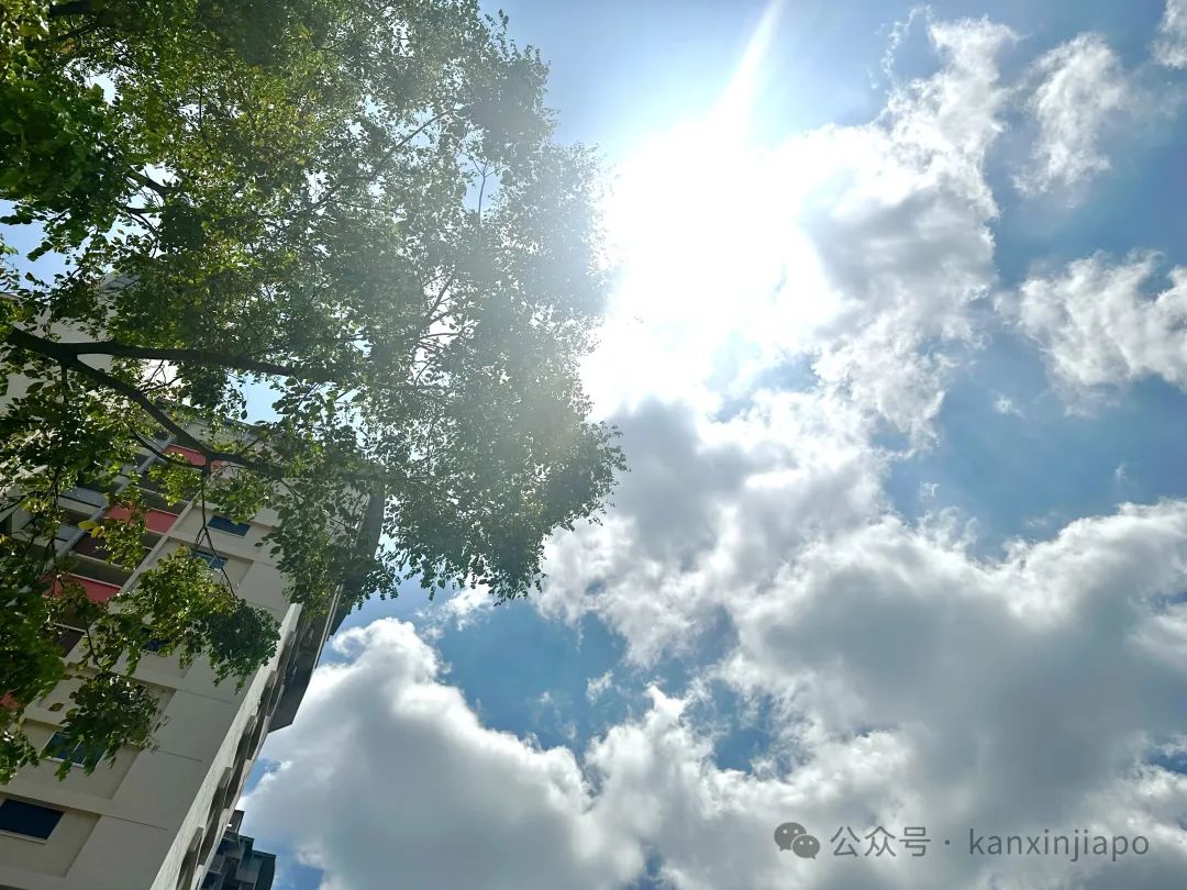 热爆了！新加坡12月单日温度破纪录_韩国_新闻_华人头条