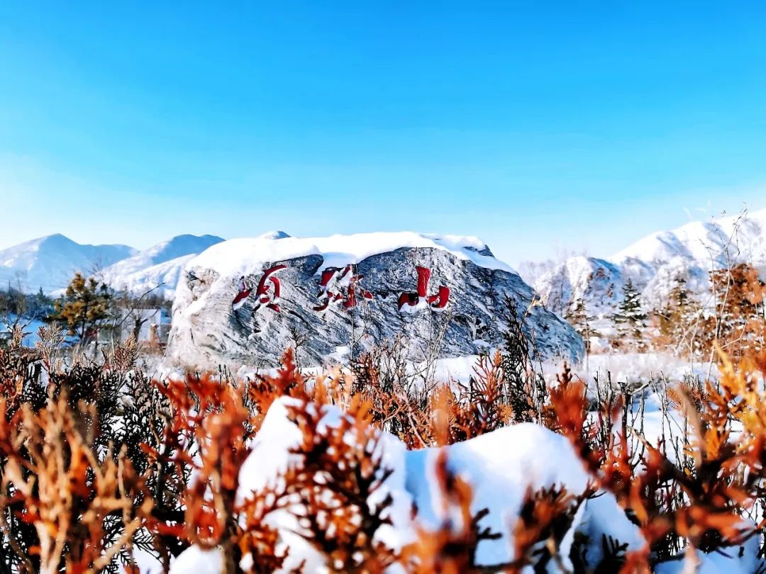 须弥五福迎新春盛唐非遗过大年_Россия_新闻_华人头条