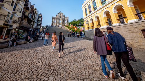 2024年11月旅行團及酒店入住率