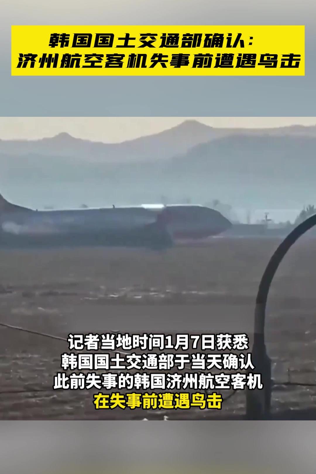 韩国国土交通部确认：济州航空客机失事前遭遇鸟击_苏里南_新闻_华人头条