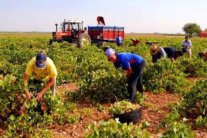 UNIDAD XIV – «AGRICULTURA Y GANADERÍA» – DERECHO AGRARIO UNA