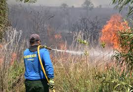 La Nación / Infona alerta sobre zonas del país donde existen mayores  riesgos de incendio forestal