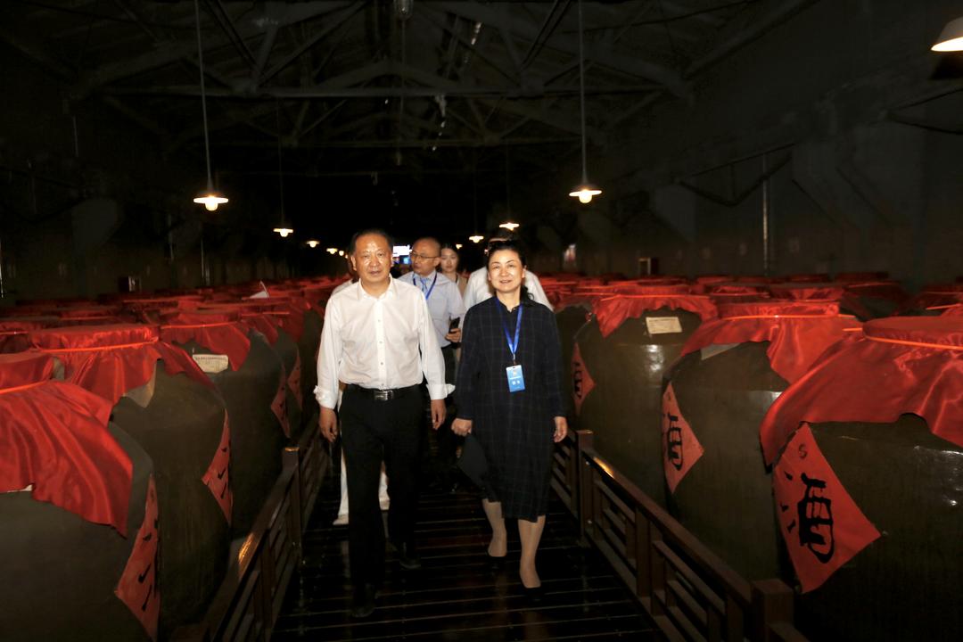 图片[7]-聚焦襄阳：探访绿色发展新路径 乡村振兴新风貌与侨联工作新成效-华闻时空