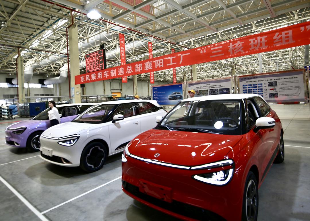 图片[5]-聚焦襄阳：探访绿色发展新路径 乡村振兴新风貌与侨联工作新成效-华闻时空