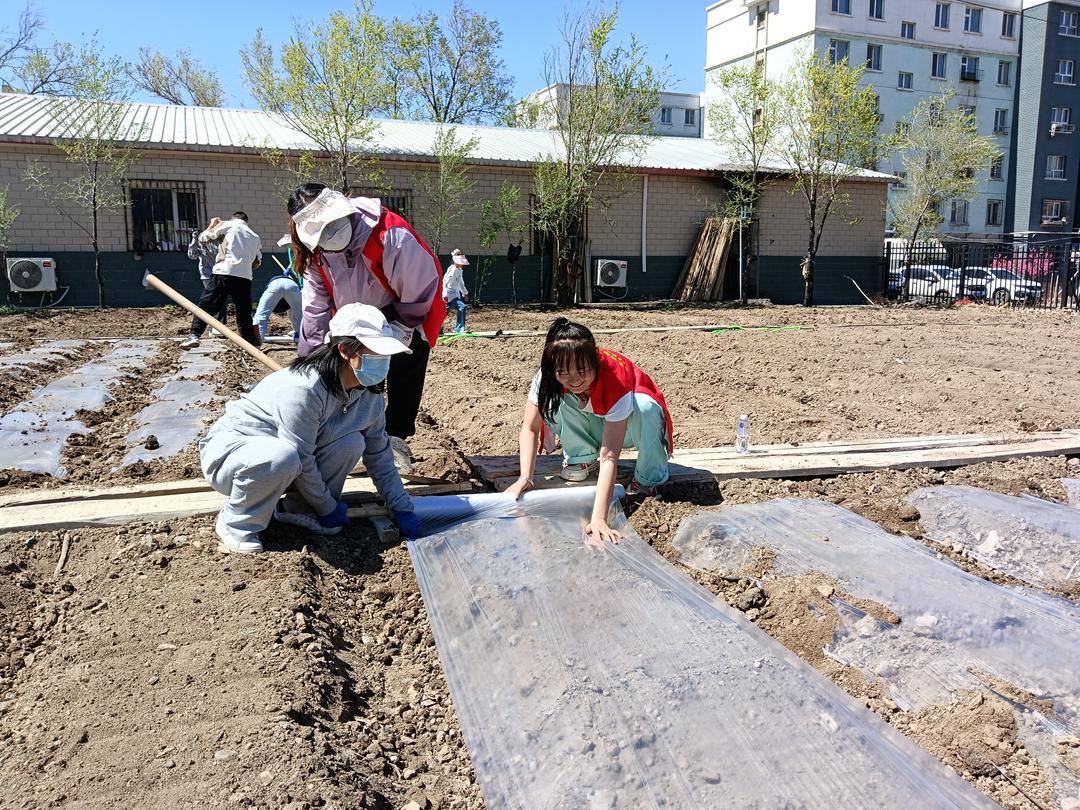 新疆兵团建工市政交通集团尚品装潢装饰公司党支部开展“弘扬南泥湾精神 凝聚奋进力量”主题党日活动