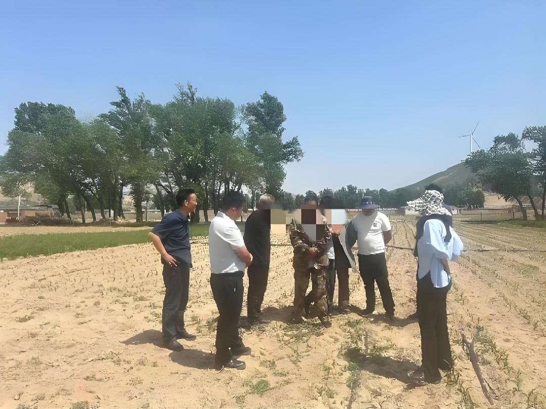 靖边公安中山涧派出所:地界问题起纠纷 民警筑起 “和谐埂”