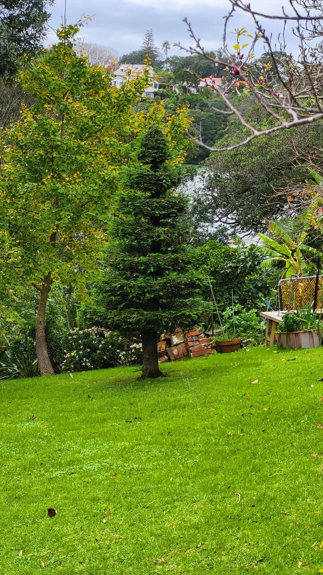 è�‰åœ°ä¸Šæœ‰è®¸å¤šæ ‘

AI ç”Ÿæˆ�çš„å†…å®¹å�¯èƒ½ä¸�æ­£ç¡®ã€‚