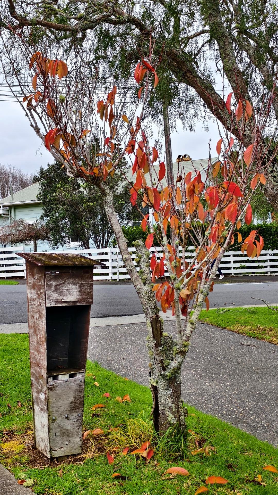 èŠ±å›­é‡Œçš„æ‘†è®¾å¸ƒå±€

AI ç”Ÿæˆ�çš„å†…å®¹å�¯èƒ½ä¸�æ­£ç¡®ã€‚
